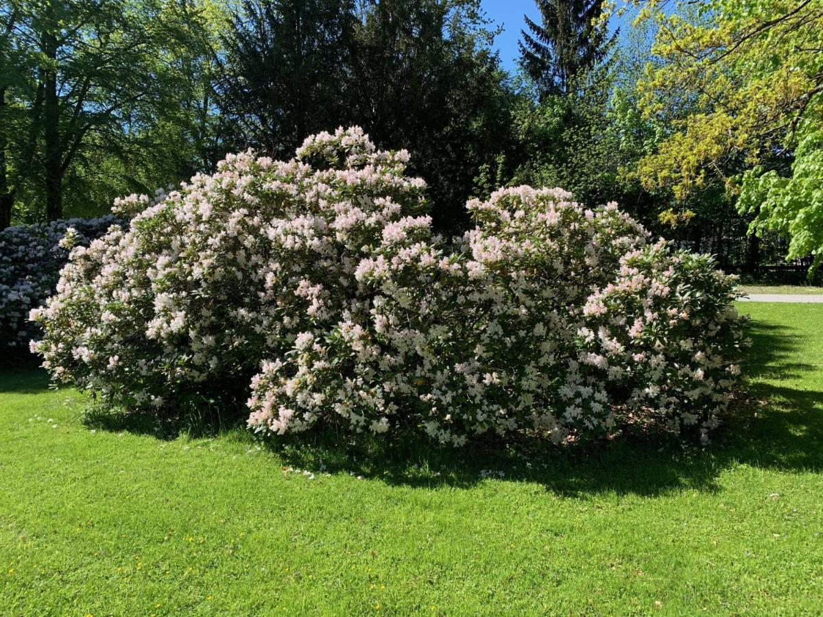 Schlosspark Grubhof - Mitterer Sankt Martin bei Lofer Kültér fotó