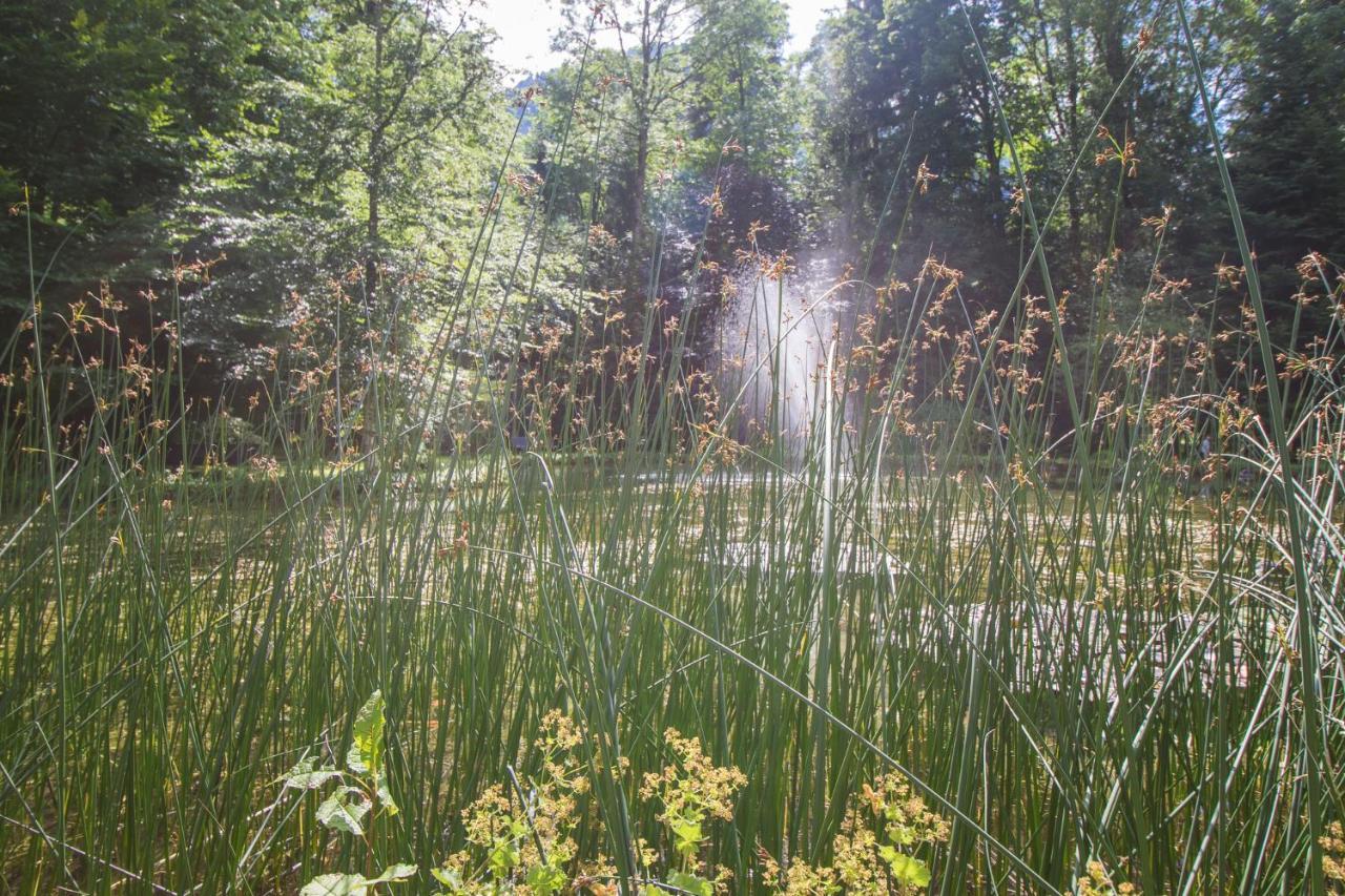 Schlosspark Grubhof - Mitterer Sankt Martin bei Lofer Kültér fotó